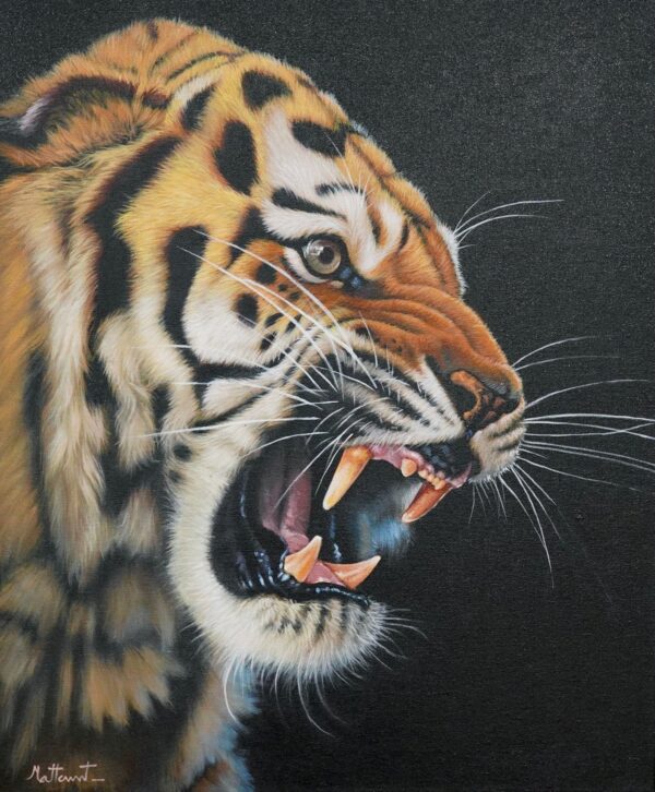 Wütender Tiger – 50 x 60 cm Kunstgalerie